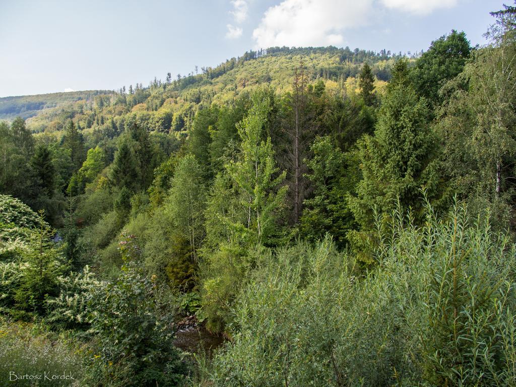 Mala Osada Domki Z Jacuzzi Przy Gondoli Szczyrk Exterior photo